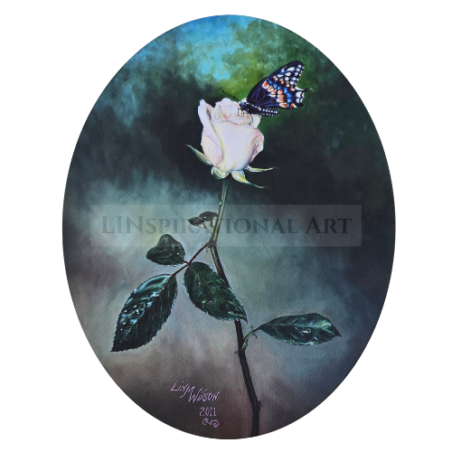 Your Forever Rose (White Rose With a Black Swallowtail Butterfly)